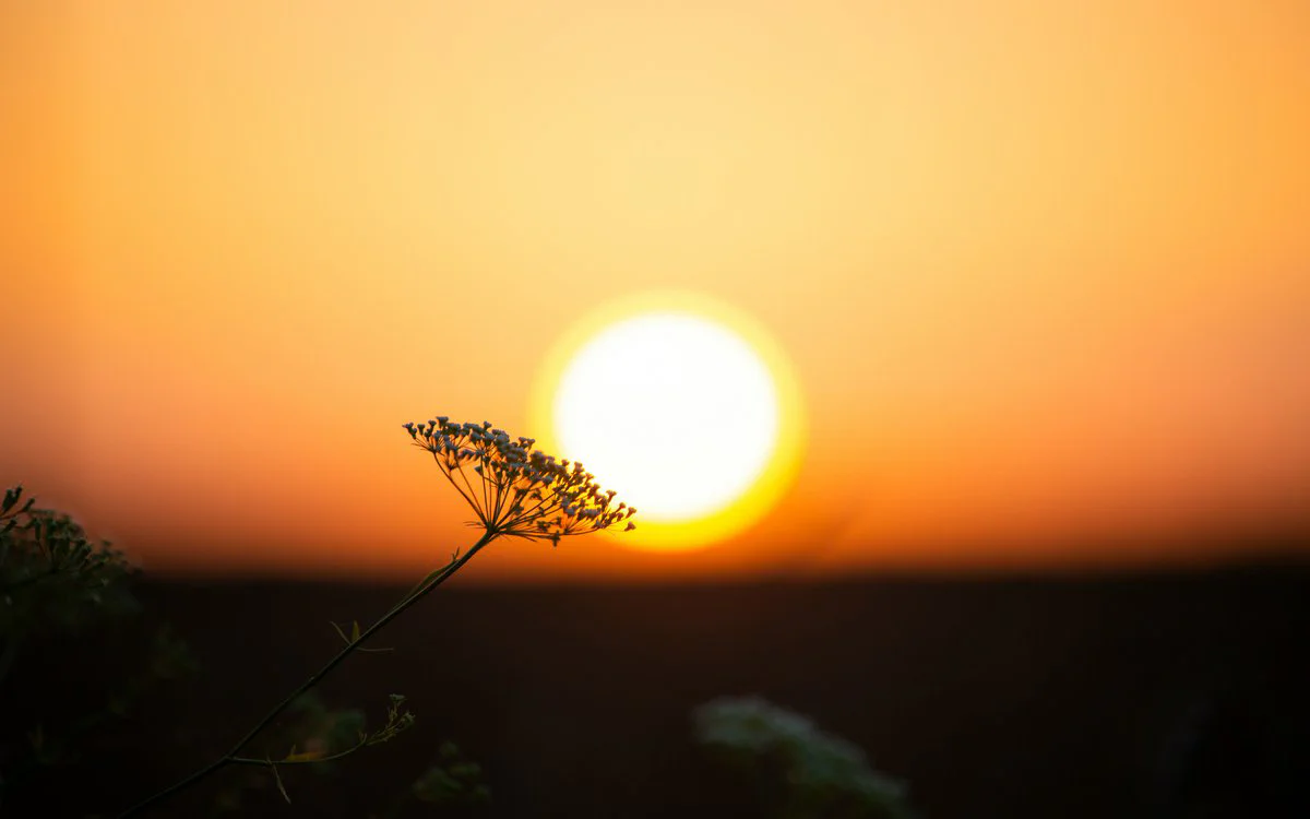 Peaceful person experiencing mental clarity and focus through tratak meditation practice